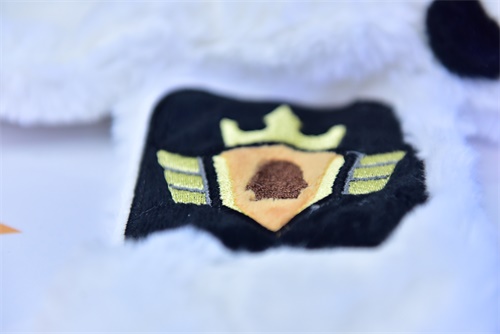 2019 TGC最大亮点？企鹅电竞独具匠心收获全场玩家好评！