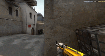 【CSGO人物志】赛场上最受争议的.exe先生——flusha