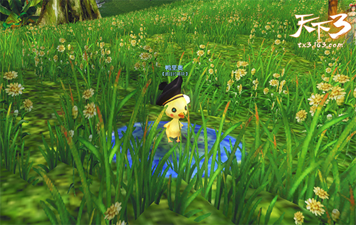 锦鲤跃金秋，好运伴君行！《天下3》锦鲤大转盘好礼送不停！