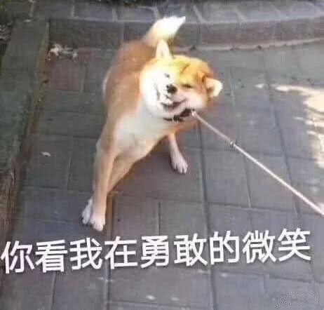 CC直播年度盛典：游戏大神+海外学霸，JQJQ年度开挂夺冠