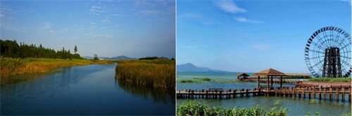 《火箭联盟》携手迈凯伦“竞速追影”，幸运玩家超奢试驾完美落幕