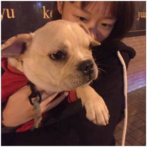 《红莲之王》玩家访谈：萌妹子的MOBA竞技世界