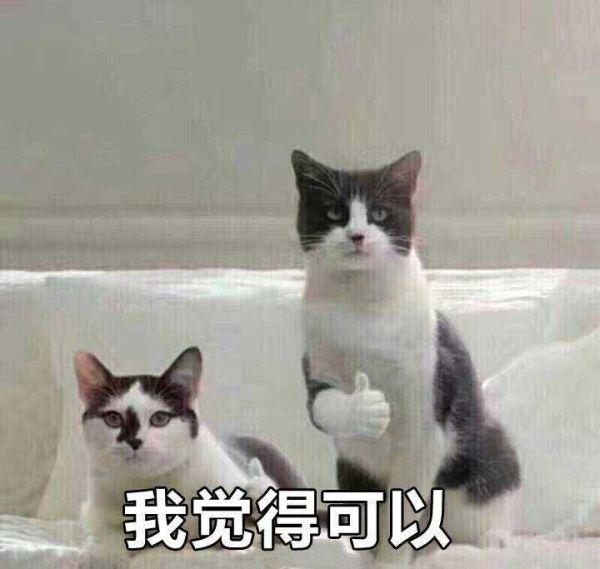 游戏宅春节假期行动计划