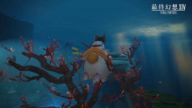 《最终幻想14》新坐骑猫大胖引领吸猫潮流