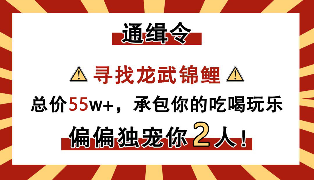 《龙武》新版开启预约 55万悬赏“最强锦鲤”
