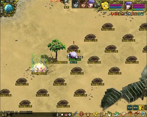 阳春三月 来《问道》种颗树吧