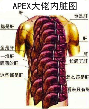 《APEX英雄》第一赛季正式发布 立马加速器免费助力