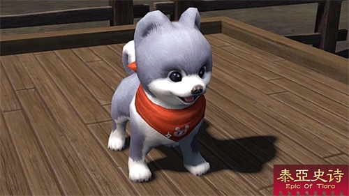 开出珍稀小蓝狗 全服咆哮：狗托!