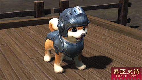 开出珍稀小蓝狗 全服咆哮：狗托!