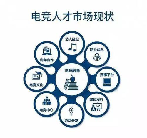 电竞职业获国家认证 北开华嘉计划公开学训赛“神辅”升学择校