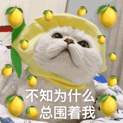 “拼命三郎”点券哥下一站已确定，6月初再相逢!