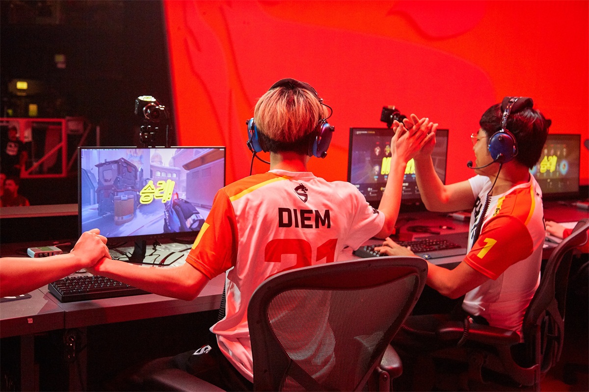 上海龙之队公布新队员Envy，巨龙觉醒势不可挡!