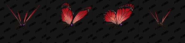 《魔兽世界》8.2.5PTR更新 加入多个蜜蜂相关物品