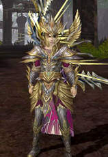 《圣魔之血》四大职业性分析