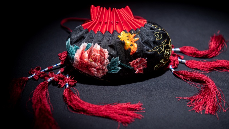 青春不负，与梦相随!“想见你”2020发布会完美落幕