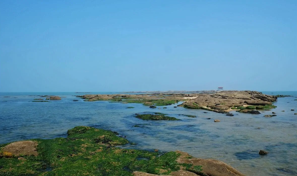 《梦幻西游》电脑版山东5区新服【太公岛】火爆来袭