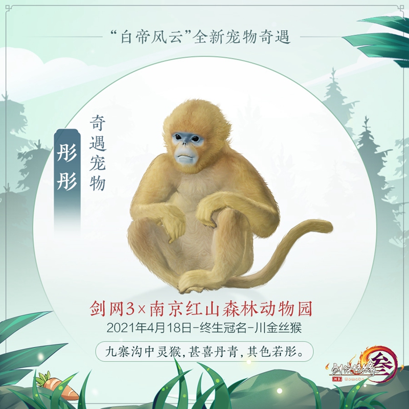 携手游园共探“好大儿” 《剑网3》与你相约红山动物园