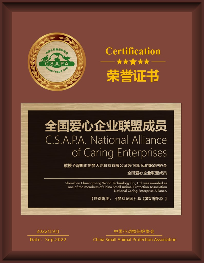 梦幻公益开启新篇章！携手小动物保护协会守护流浪天使