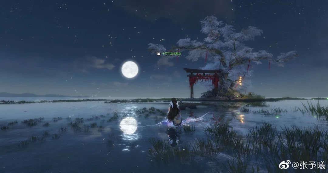 女明星被发现玩逆水寒，秒上热搜