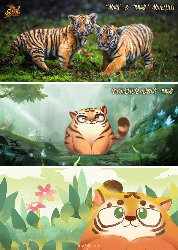 世界爱虎日：《魔域》千万玩家线上线下齐助力，守护濒危华南虎！