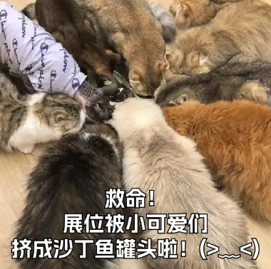 【劲爆官宣】 CJ Arena官方主线活动全面升级2.0！2025 ChinaJoy × 支付宝蓝花火战略合作启动！