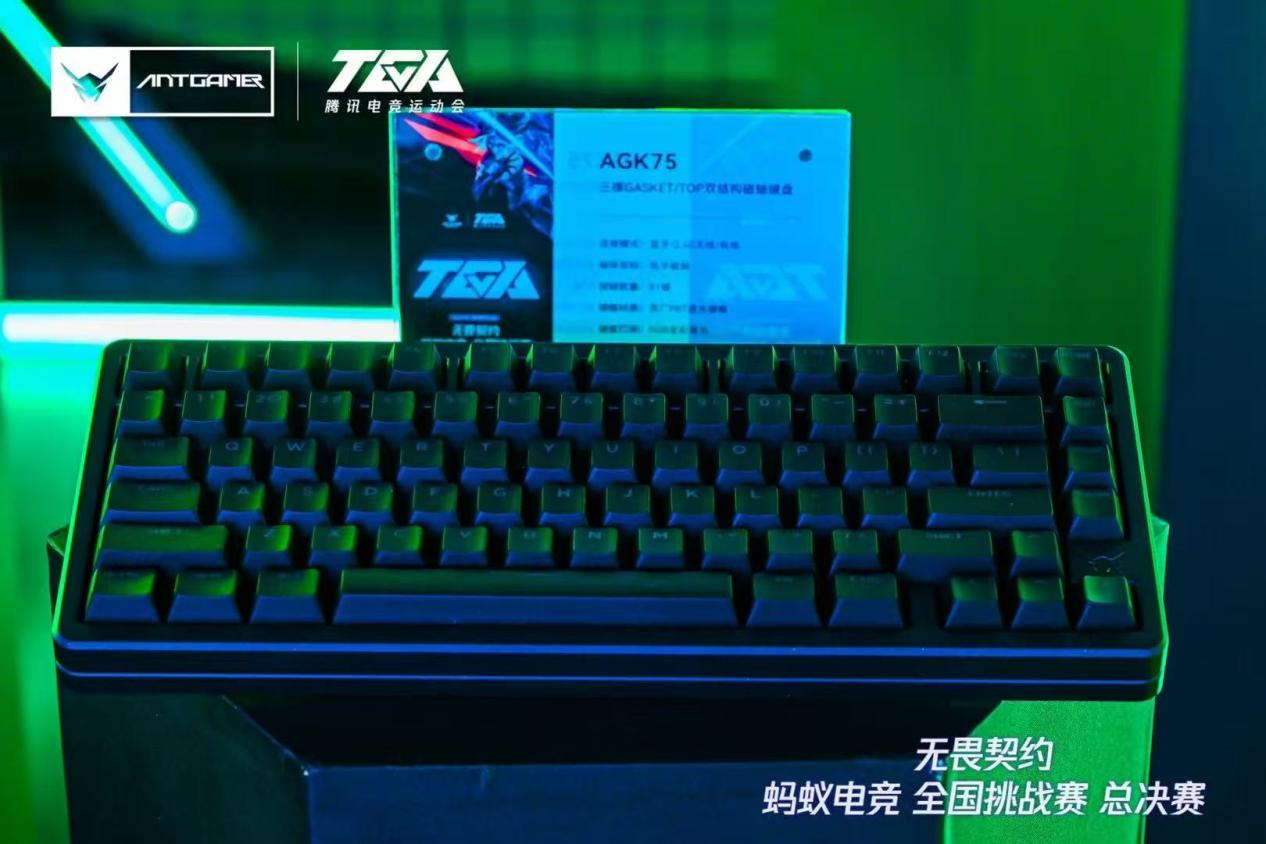 赛事全面升级！2025TGA无畏契约蚂蚁电竞全国挑战赛火热进行中！