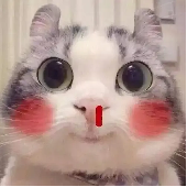 年度最纯欲女角色，刚出道就“塌房”了