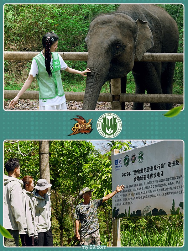 《魔域》携手西双版纳州热带雨林保护基金会开启「象往未来·亚洲象保护行动」