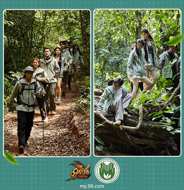 深入雨林建造大象食堂！《魔域》带您沉浸式撸兽