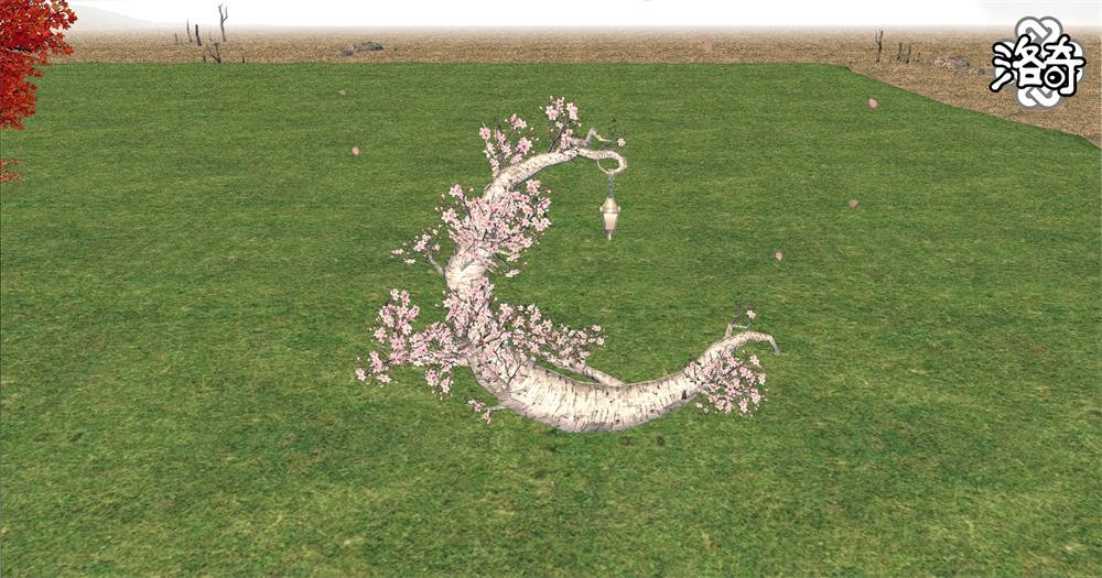 《洛奇》怦然心动 浪漫岛！