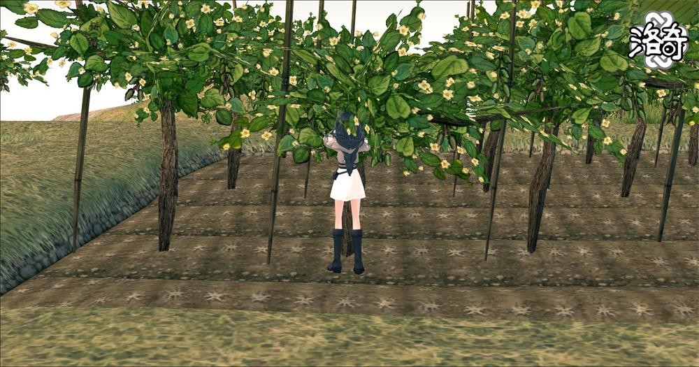 《洛奇》怦然心动 浪漫岛！