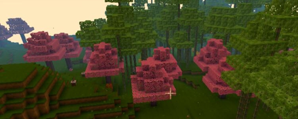 迷你世界桃树林在哪里