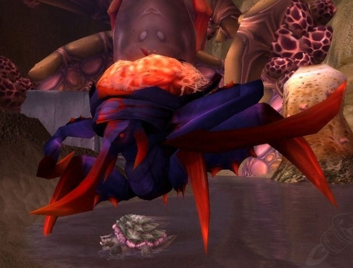 《魔兽世界》怀旧服吞咽者布鲁掉落物品一览