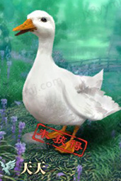 《剑网3》白鹅天天跟宠奇遇触发攻略