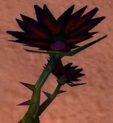 《魔兽世界》怀旧服黑莲花采摘地点