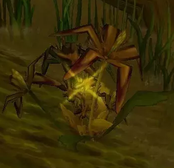 《魔兽世界》怀旧服瘟疫花采摘地点