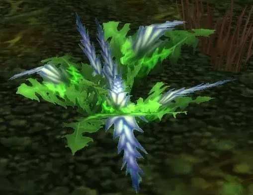 《魔兽世界》怀旧服梦叶草采摘地点