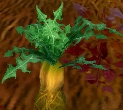 《魔兽世界》怀旧服黄金参采摘地点