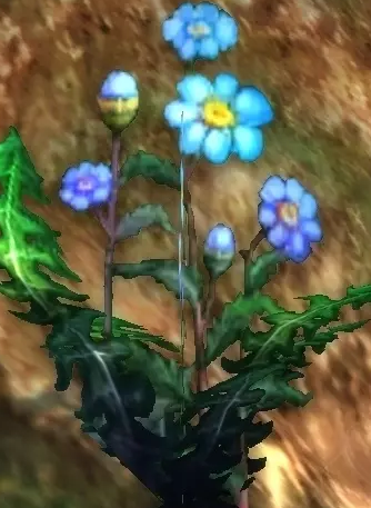 《魔兽世界》怀旧服盲目草采摘地点