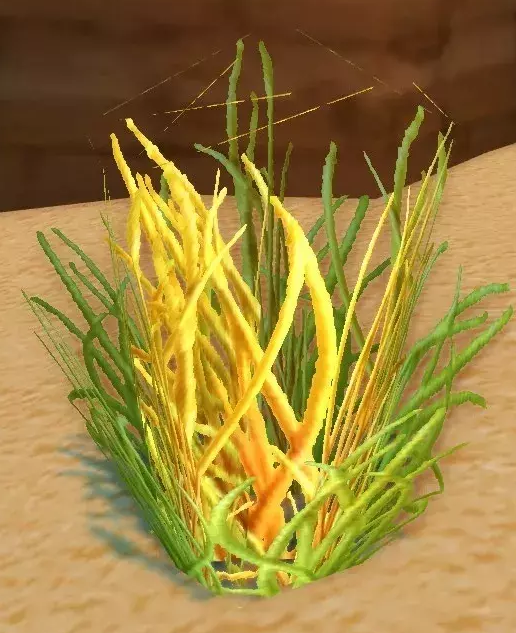 《魔兽世界》怀旧服太阳草采摘地点