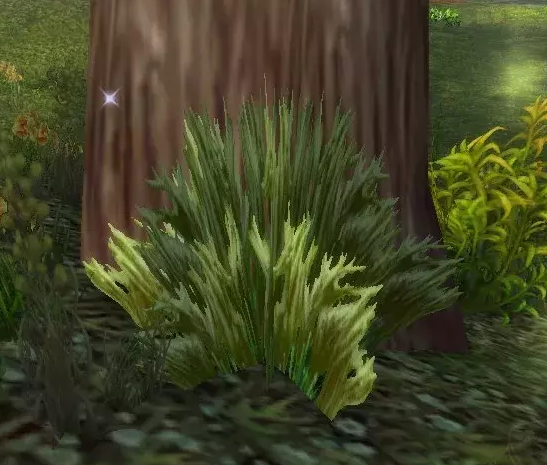 《魔兽世界》怀旧服卡德加的胡须采摘地点