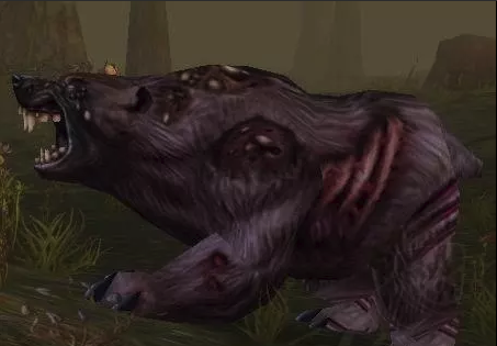 《魔兽世界》怀旧服生病的灰熊介绍