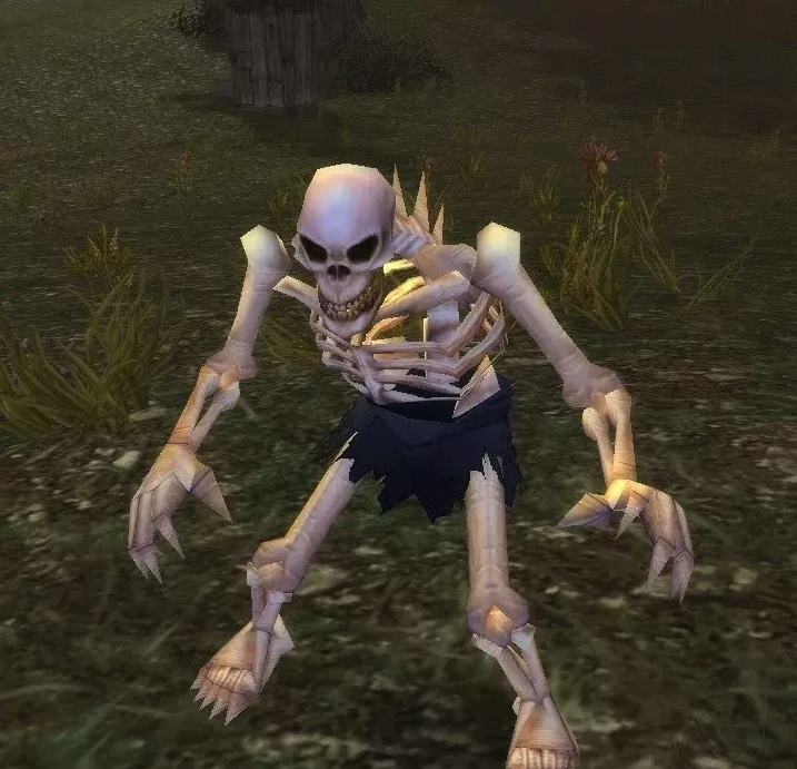 《魔兽世界》怀旧服游荡的骷髅介绍