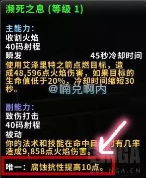 《魔兽世界》濒死之息精华介绍