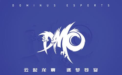 《LOL》DMO战队2020年战队成员介绍