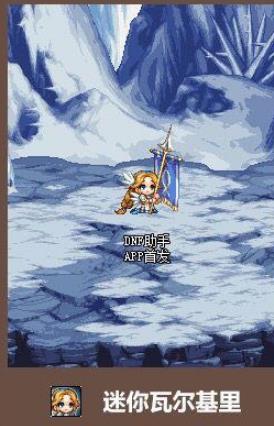 《DNF》瓦尔哈拉宠物自选礼盒介绍