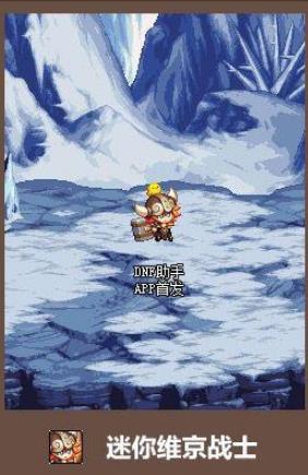 《DNF》瓦尔哈拉宠物自选礼盒介绍