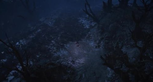 《流放之路2》配置介绍