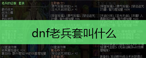 dnf老兵套叫什么