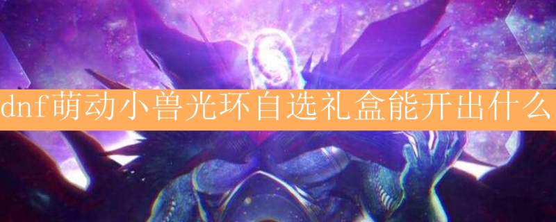dnf萌动小兽光环自选礼盒能开出什么